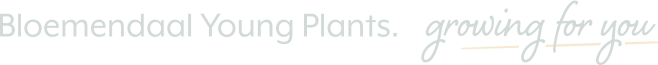 Bloemendaal Young Plants | growing for you